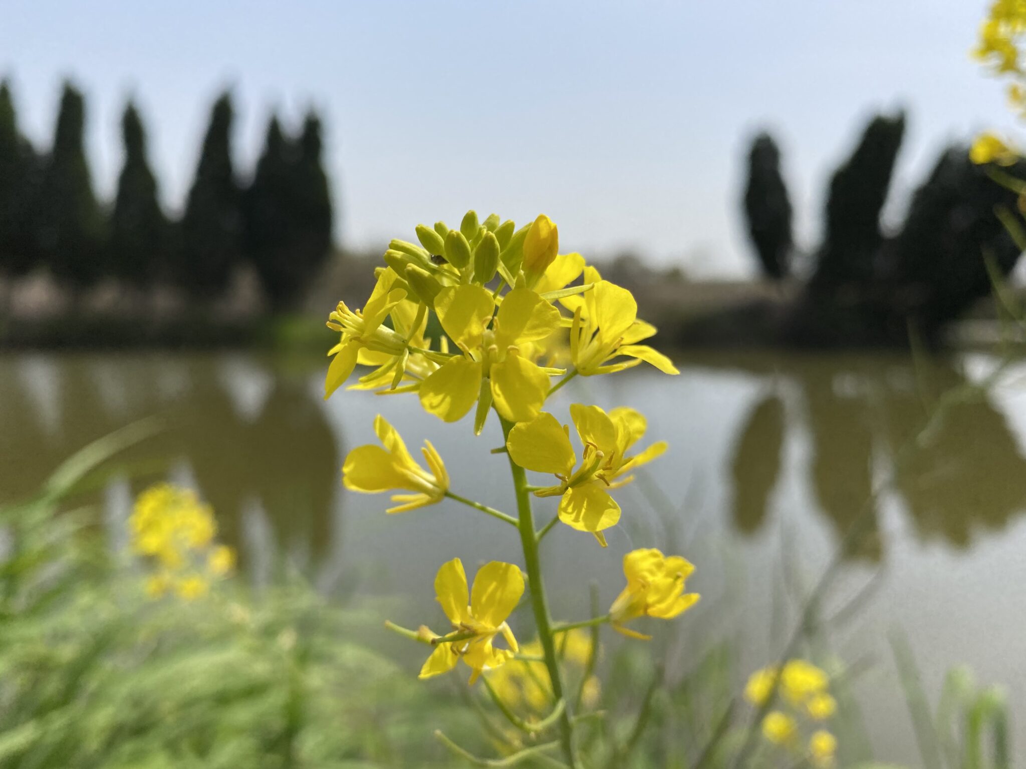 2021 年の 4 つの最大の歴史的発見