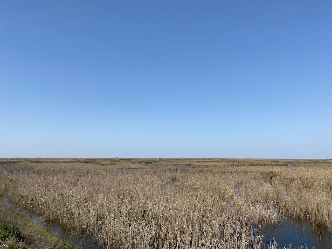 Google 自 2019 年 5 月起发布 Android 安全补丁