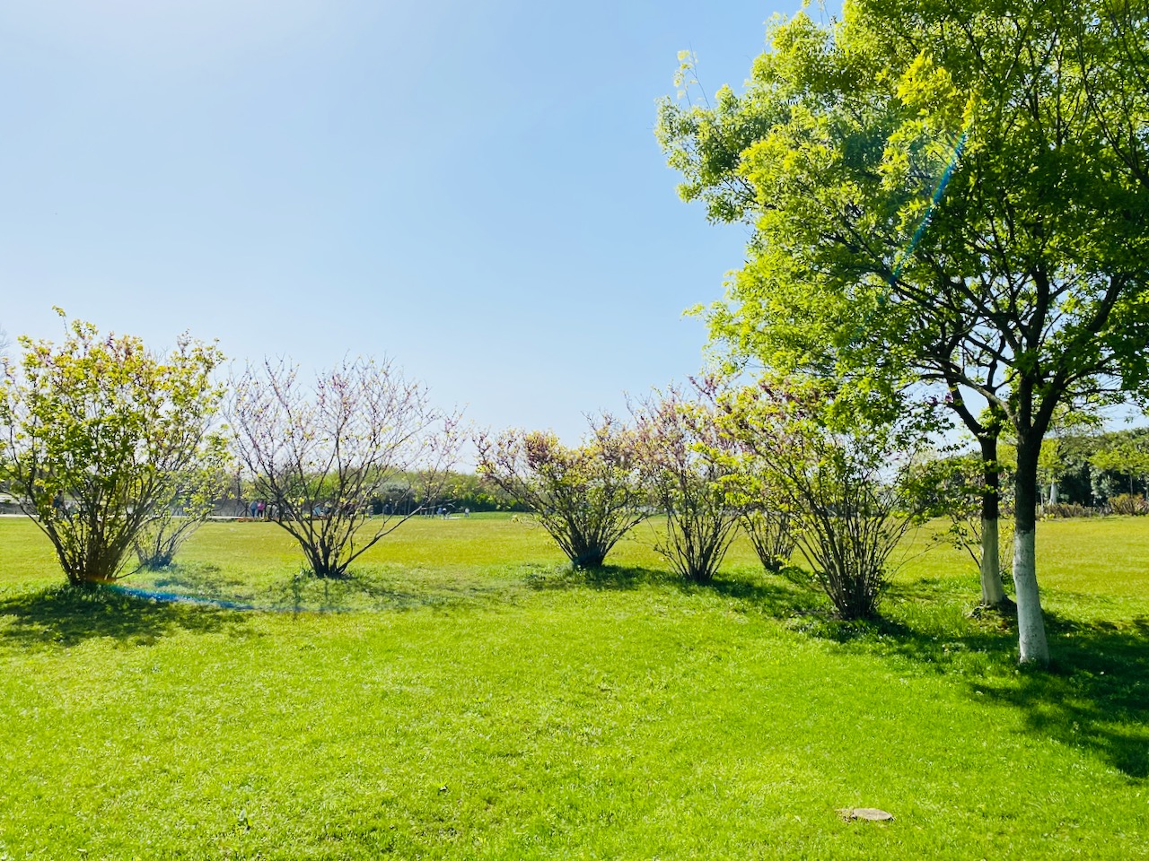 2021 年の 4 つの最大の歴史的発見