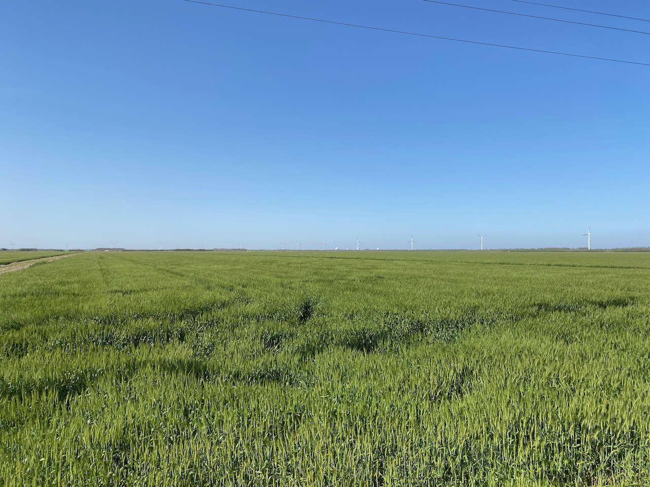 Android安全补丁2021年5月发布